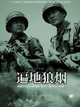 狼烟电视剧在线观看,烽火岁月中的抗战传奇  第3张