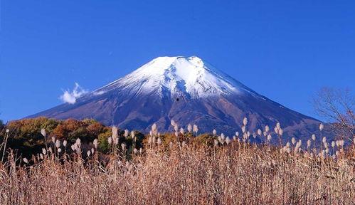 日本富士山最新爆料消息,揭秘神秘火山喷发前的征兆与应对措施” 第3张 日本富士山最新爆料消息,揭秘神秘火山喷发前的征兆与应对措施” 第3张
